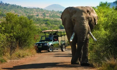 4* Bakubung Bush Lodge