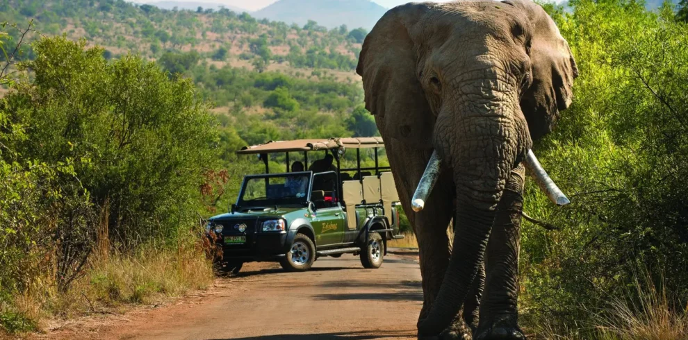 Bakubung-Bush-Lodge-Pilanesberg-Game-Reserve-7-990×490